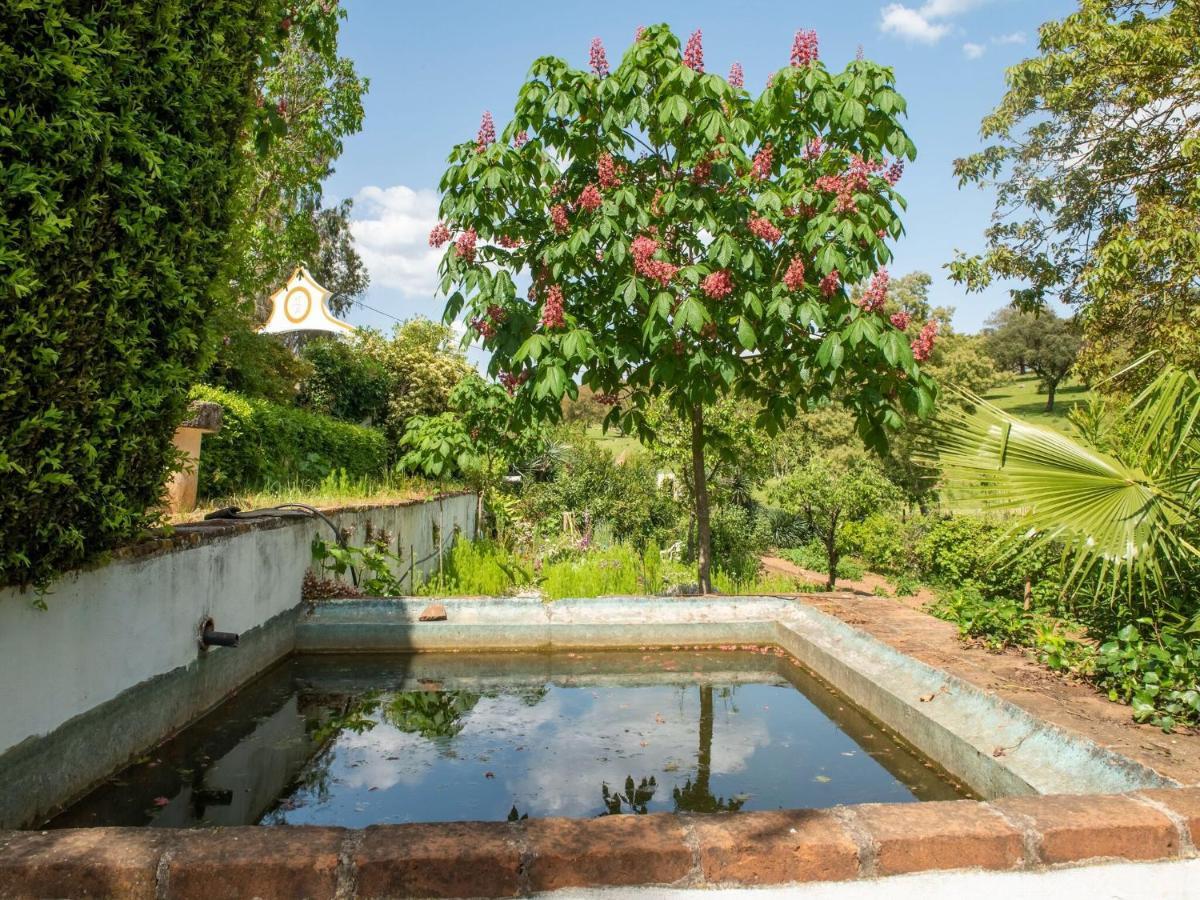 House With Authentic Tiling And Antique Furniture Villa Montemor-o-Novo Exteriör bild