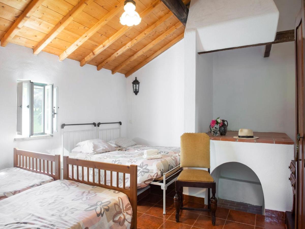 House With Authentic Tiling And Antique Furniture Villa Montemor-o-Novo Exteriör bild
