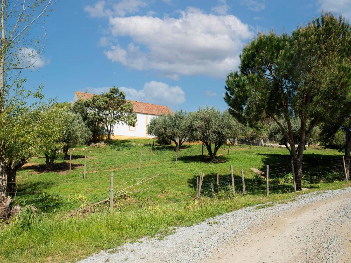 House With Authentic Tiling And Antique Furniture Villa Montemor-o-Novo Exteriör bild