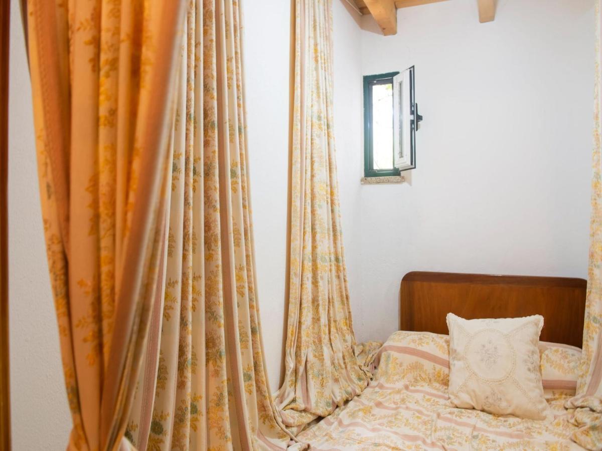 House With Authentic Tiling And Antique Furniture Villa Montemor-o-Novo Exteriör bild